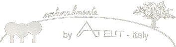 Logo Atelit